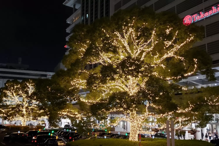 名駅前イルミネーション