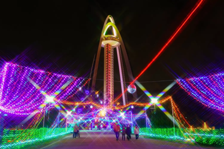 138ウィンターイルミ2024