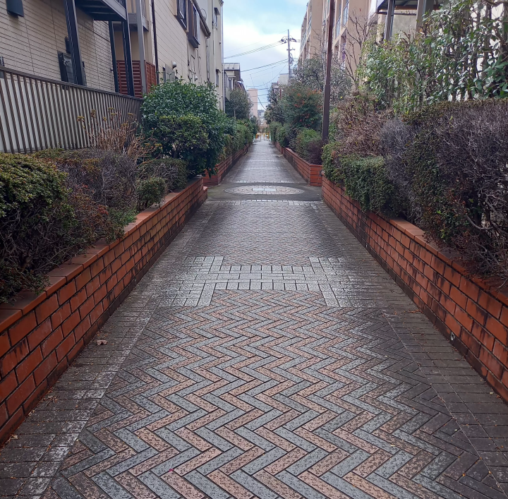 Walk along the "Momozonogawa Greenway" in Nakano, Tokyo! See flowers and plants all year round