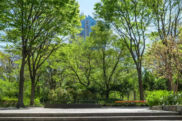 新宿中央公園