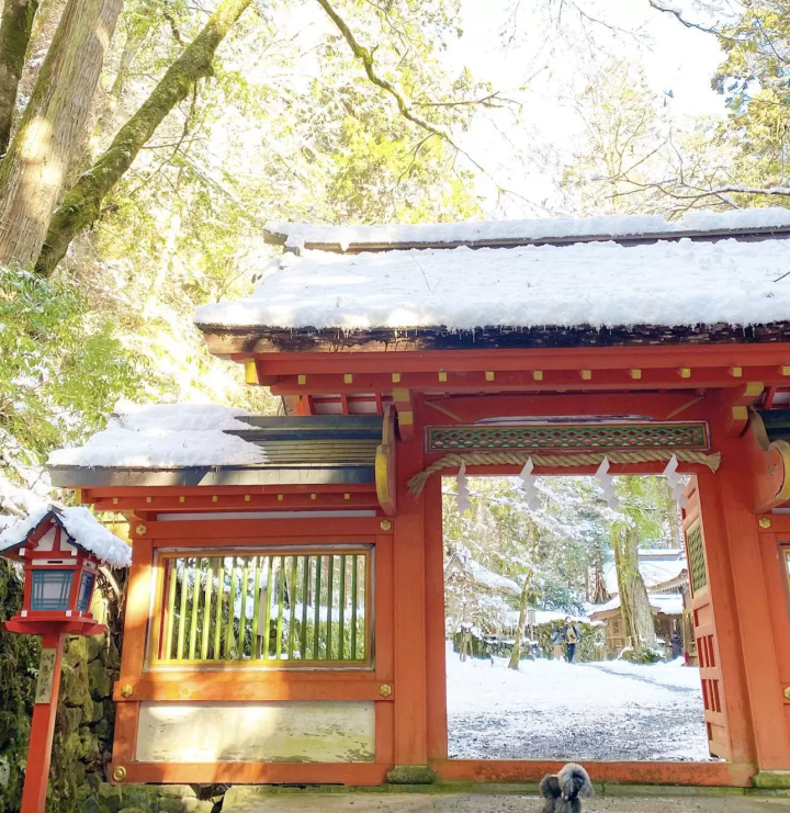 Introducing recommended spots for a trip to Kyoto with your dog
