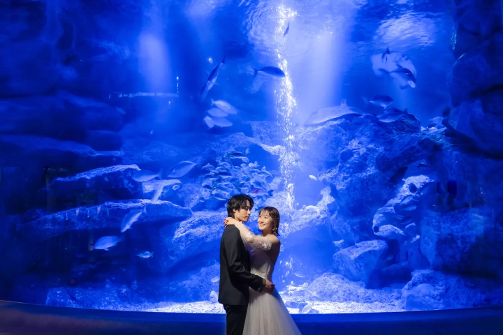 すみだ水族館でのデート