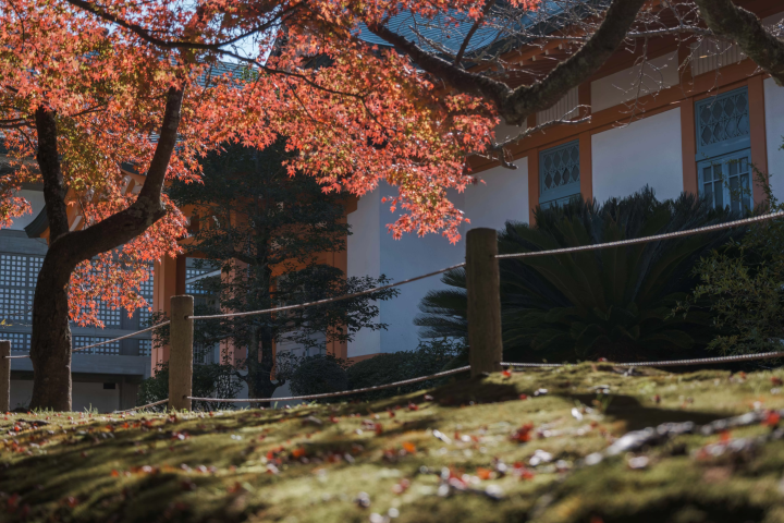 Inside Ehime - A 3-day itinerary that captures the romance of travel