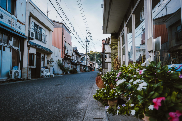 Inside Ehime - A 3-day itinerary that captures the romance of travel