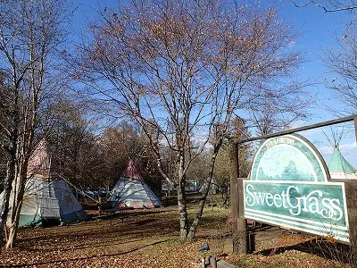 来源：hinata 现货 