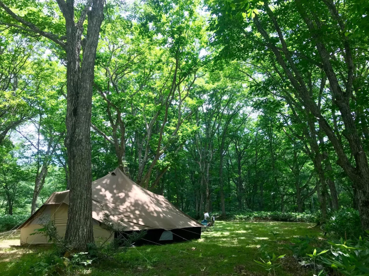 来源：hinata 现货 