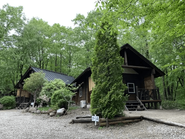 来源：hinata 现货 