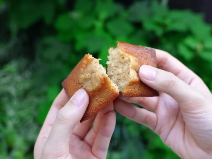 現烤原味費南雪<