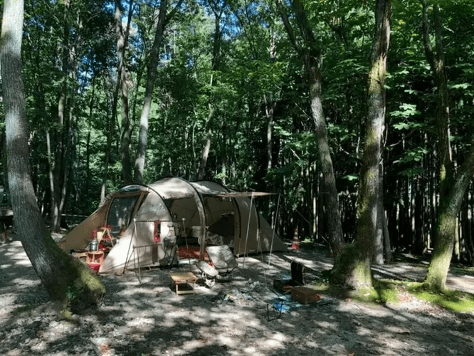 来源：hinata 现货 