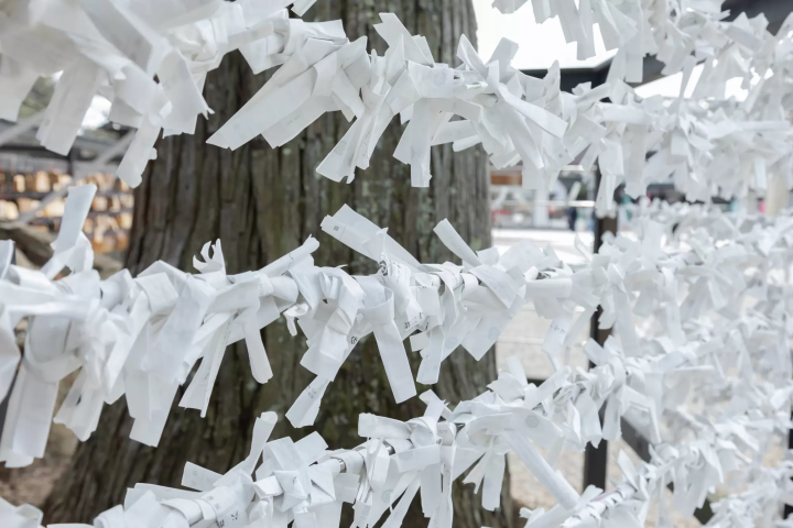 出雲大社御神籤