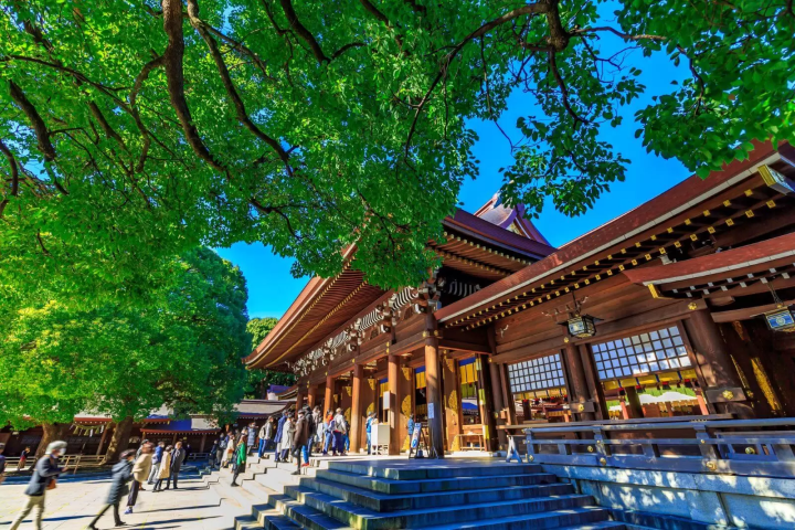 東京　初詣　明治神宮