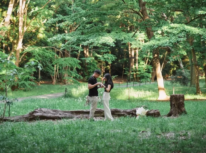 東京でプロポーズするには - 究極のプロポーズ・ガイド