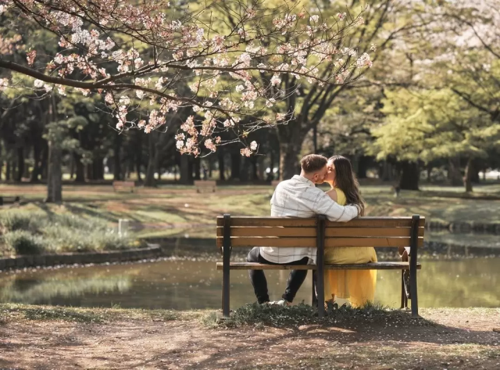 東京でプロポーズするには - 究極のプロポーズ・ガイド