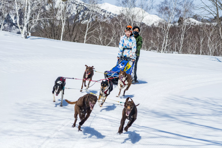 从东京站出发约2小时即可到达的7个滑雪场