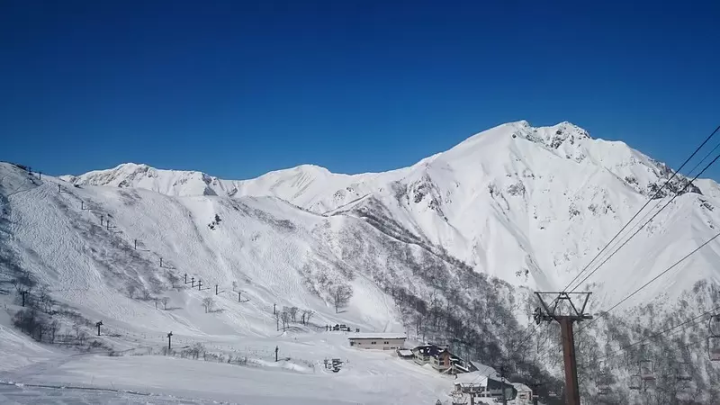 从东京站出发约2小时即可到达的7个滑雪场