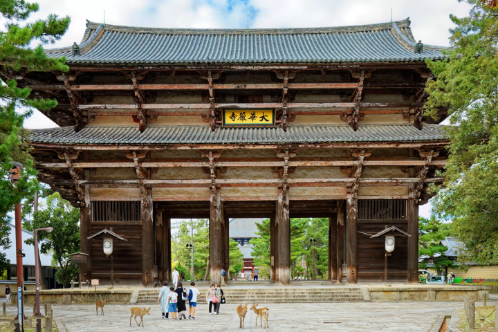 ต้นกำเนิดกวาง แห่งสวนกวางนารา (Nara)