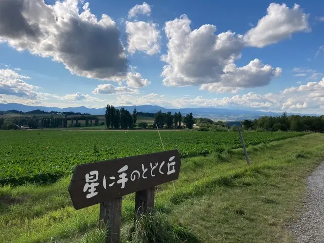 出典：hinataスポット 