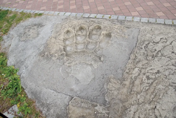 哥吉拉愛好者必看！東京周邊歷史與文化交會的6個深度景點