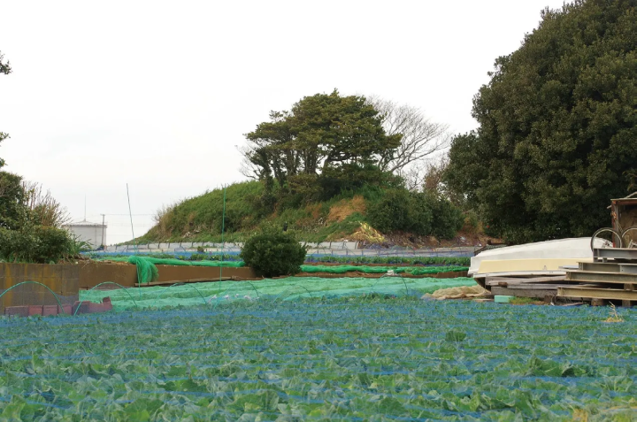 哥吉拉愛好者必看！東京周邊歷史與文化交會的6個深度景點