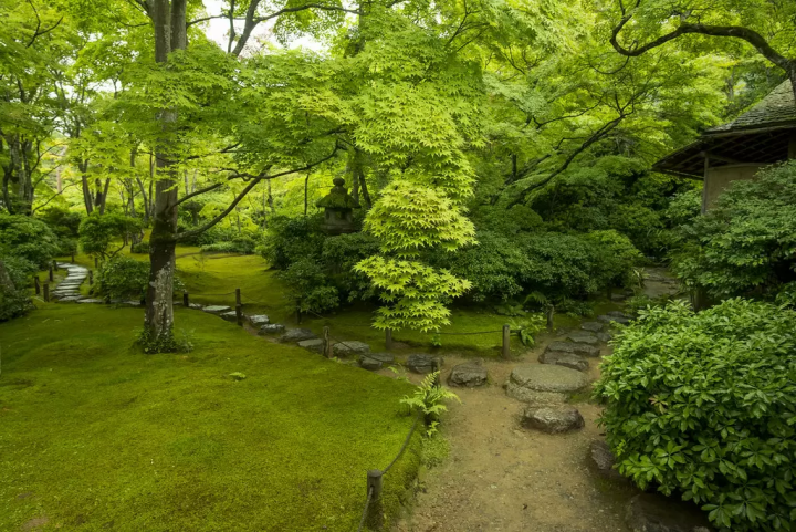 京都でプロポーズするには - 究極のプロポーズガイド