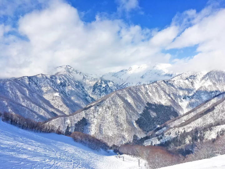 从东京站出发约2小时即可到达的7个滑雪场