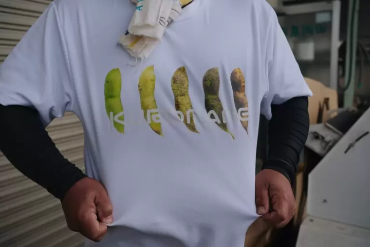 Even the staff's T-shirt had information about the optimal time to harvest kuroedamame 