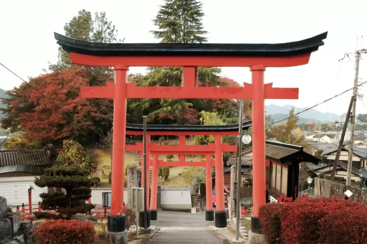 The beauty of Tamba Sasayama in autumn 