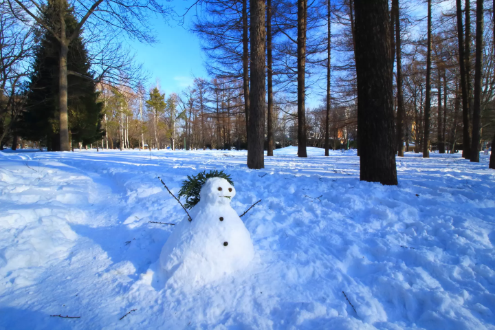搭札幌地下鐵暢遊札幌市區！路線圖、沿線景點、優惠車票資訊彙整