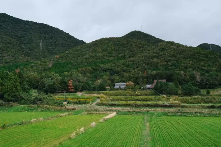 View from the second floor of the studio, where you can have a cup of coffee