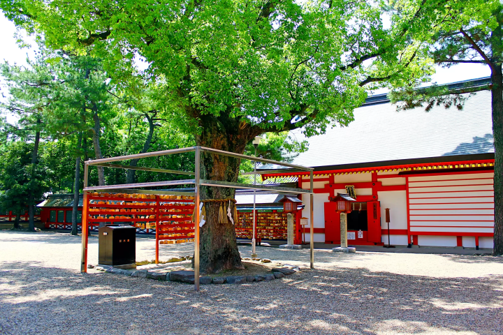 大阪 縁結び 神社 侍者社 住吉大社內