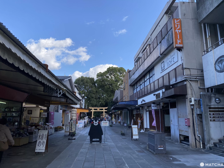 水前寺成趣園參道
