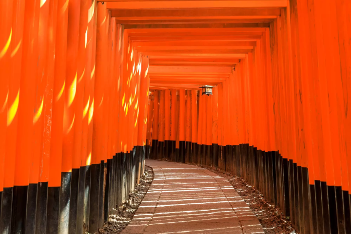 鳥居のイメージ画像