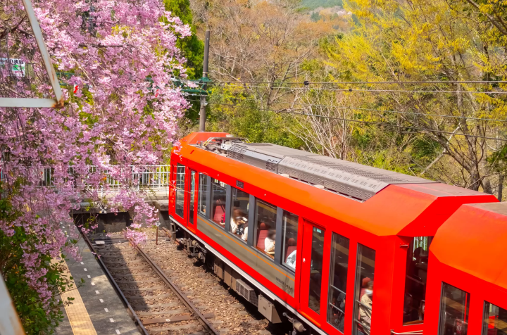 箱根登山電車　賞櫻