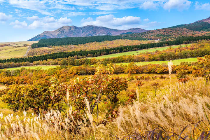 熊本縣阿蘇郡南小國町