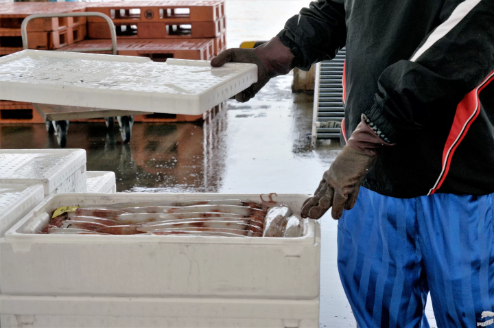 福岡空港から最短1時間30分！グルメ旅におすすめ 長崎・壱岐でできる５つの特別体験