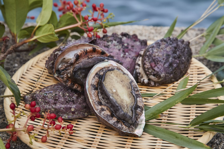 福岡空港から最短1時間30分！グルメ旅におすすめ 長崎・壱岐でできる５つの特別体験