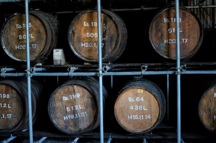 福岡空港から最短1時間30分！グルメ旅におすすめ 長崎・壱岐でできる５つの特別体験