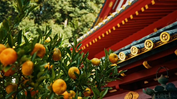 Kunozan Toshogu Shrine 