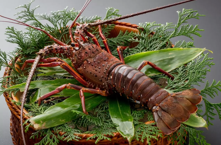 [To be held in 2025] Experience the fine cuisine and art of Seto Inland Sea! "Tadao Ando Hotel 9th ​​Anniversary Special Plan"