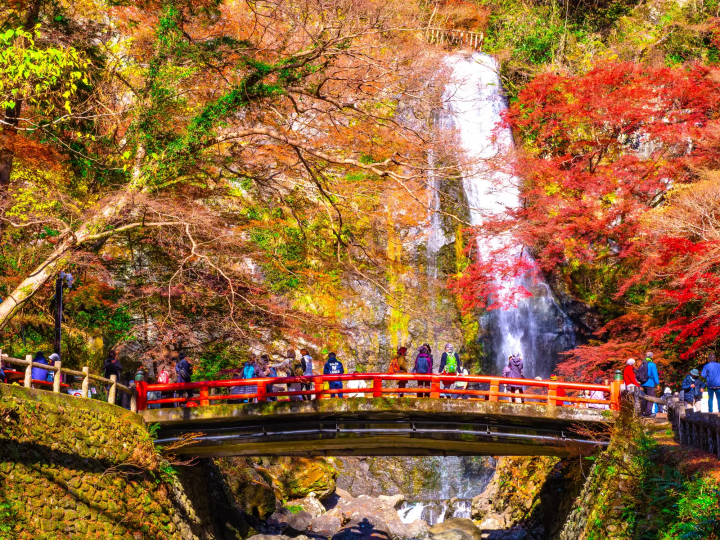 【大阪天氣】四季變化記起來！遊大阪最佳季節、氣溫、穿搭指南