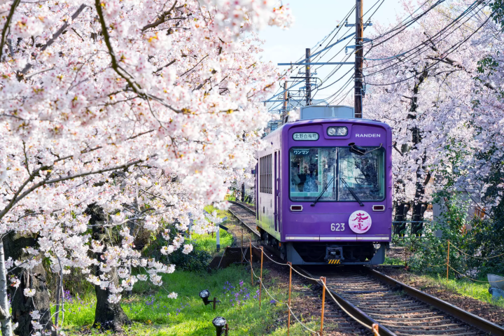 【京都天氣】四季變化記起來！遊京都最佳季節、氣溫、穿搭指南