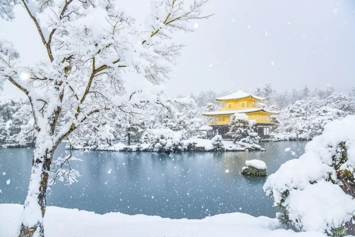 【京都天氣】四季變化記起來！遊京都最佳季節、氣溫、穿搭指南