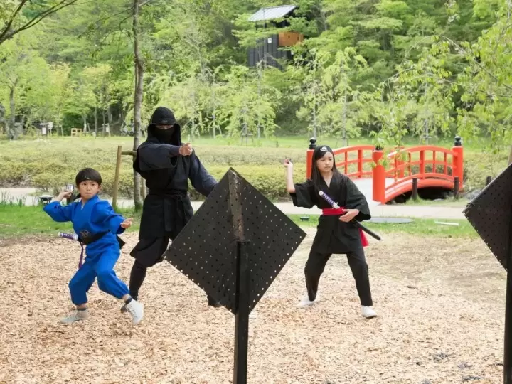 oshino ninja village