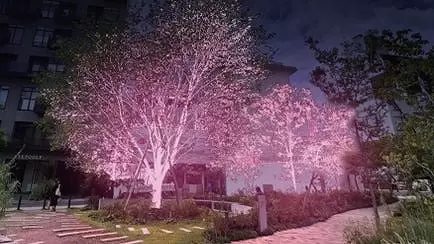 Shibuya Sakura Stage