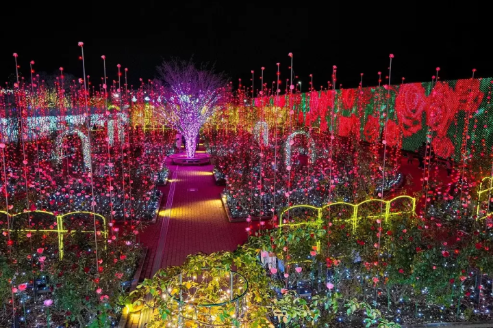 Japan's Award-Winning Lights: Experience the Garden of Illuminated Flowers - Flower Fantasy 2024-2025!