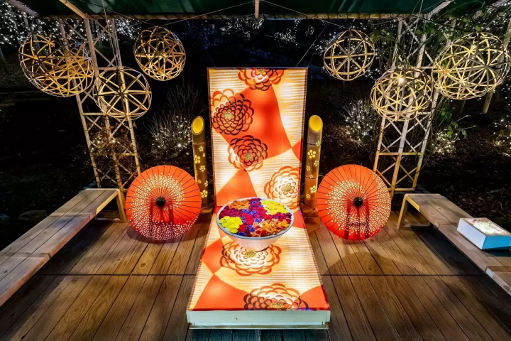 Japan's Award-Winning Lights: Experience the Garden of Illuminated Flowers - Flower Fantasy 2024-2025!