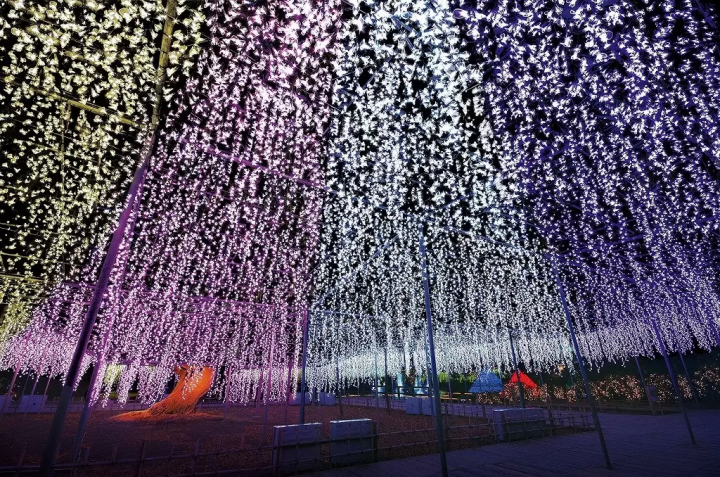 Japan's Award-Winning Lights: Experience the Garden of Illuminated Flowers - Flower Fantasy 2024-2025!