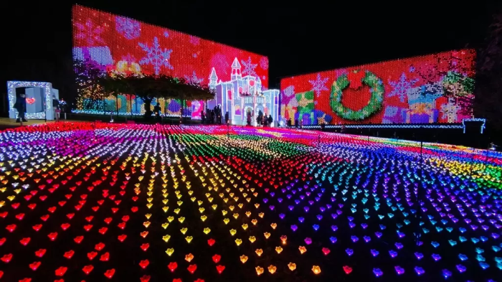Japan's Award-Winning Lights: Experience the Garden of Illuminated Flowers - Flower Fantasy 2024-2025!