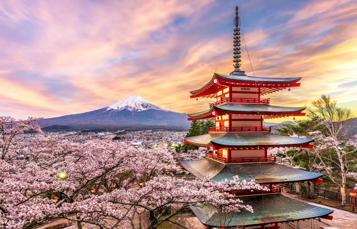 10 Activities and Tours Around Mt Fuji Throughout the Year