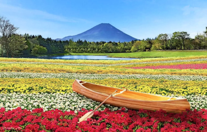 10 Activities and Tours Around Mt Fuji Throughout the Year